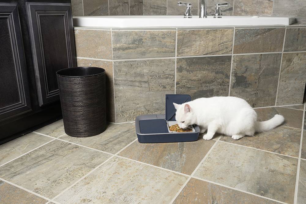 Petsafe Food dispenser 1 pc(s) PFD19-15770-4