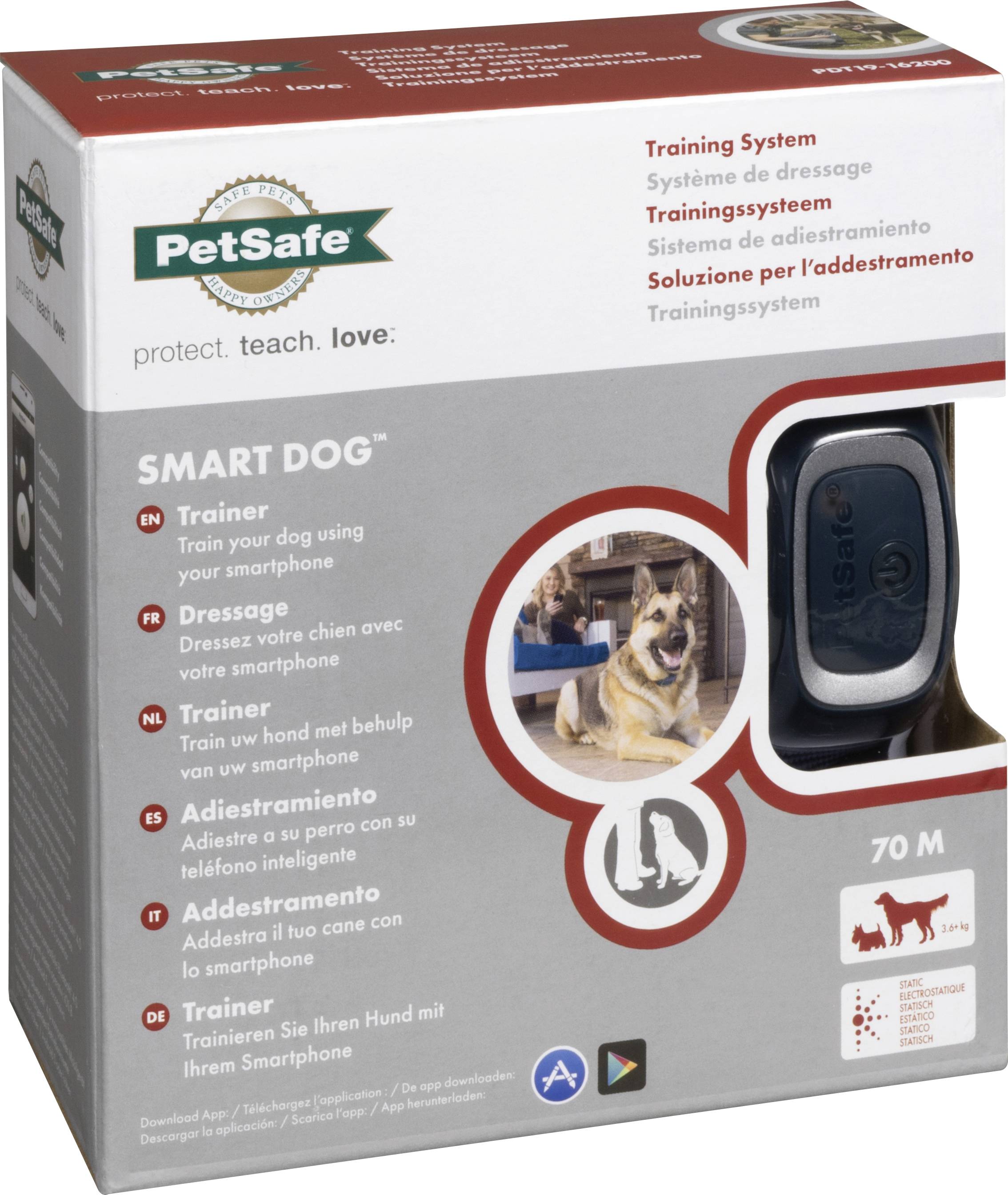 smart dog trainer