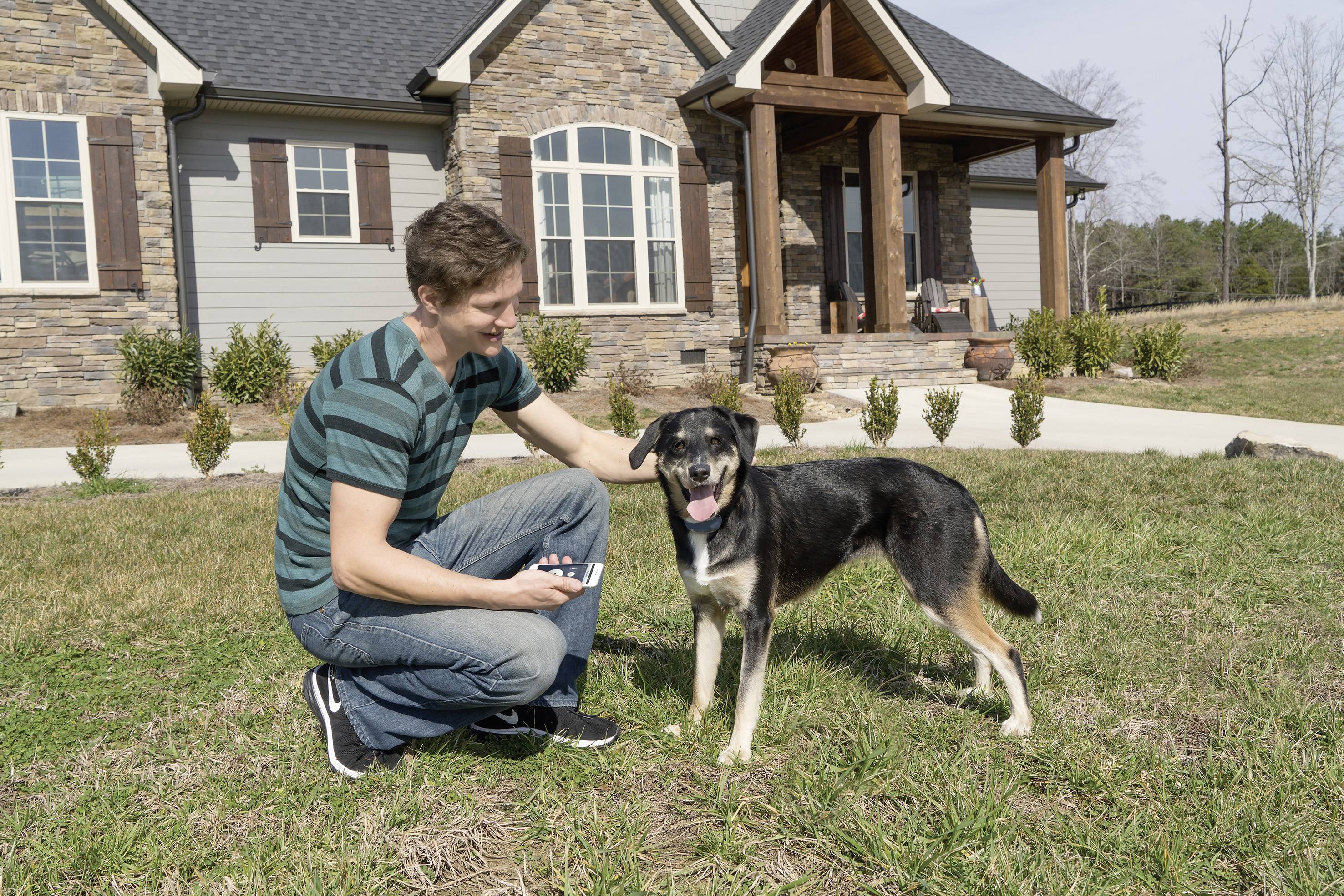 petsafe smart dog trainer