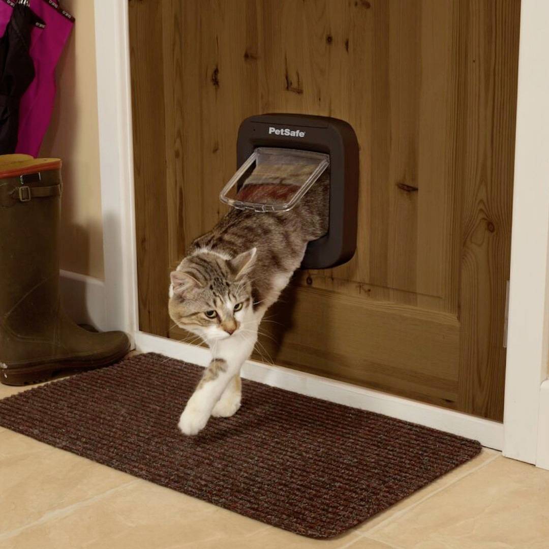 petsafe staywell microchip cat flap