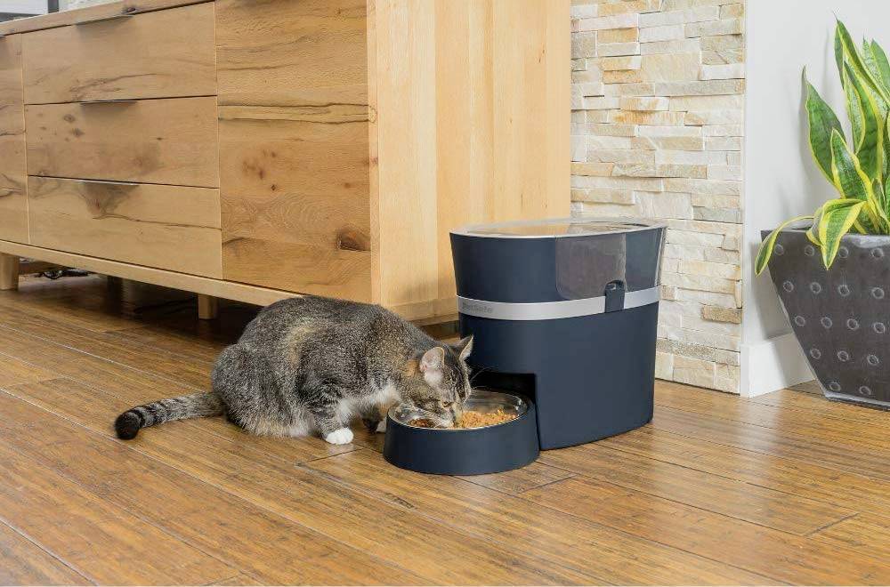 Petsafe Food dispenser Smart Feed 1 pc(s) PFD19-16861-1