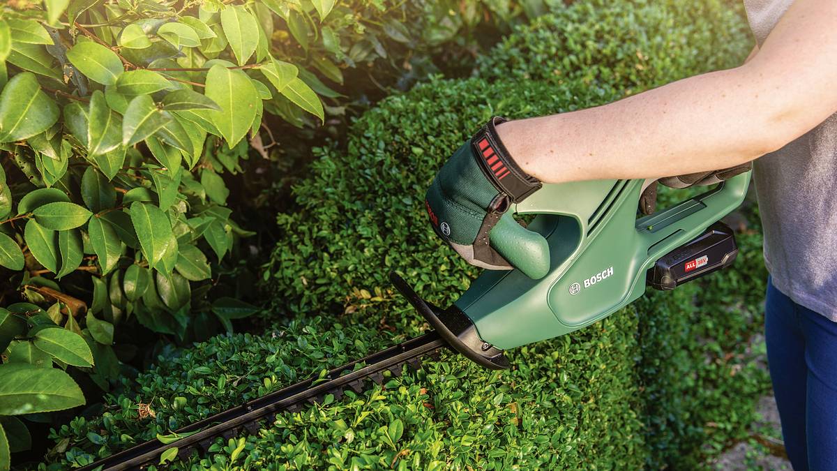 A person is trimming a green hedge with an electric hedge trimmer. The hedge trimmer is green and is being carefully guided.