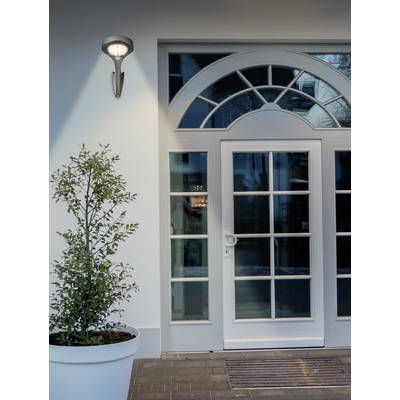 A white front door with glass panels, with a round window above it. A plant pot with a small plant stands to the left of the door.