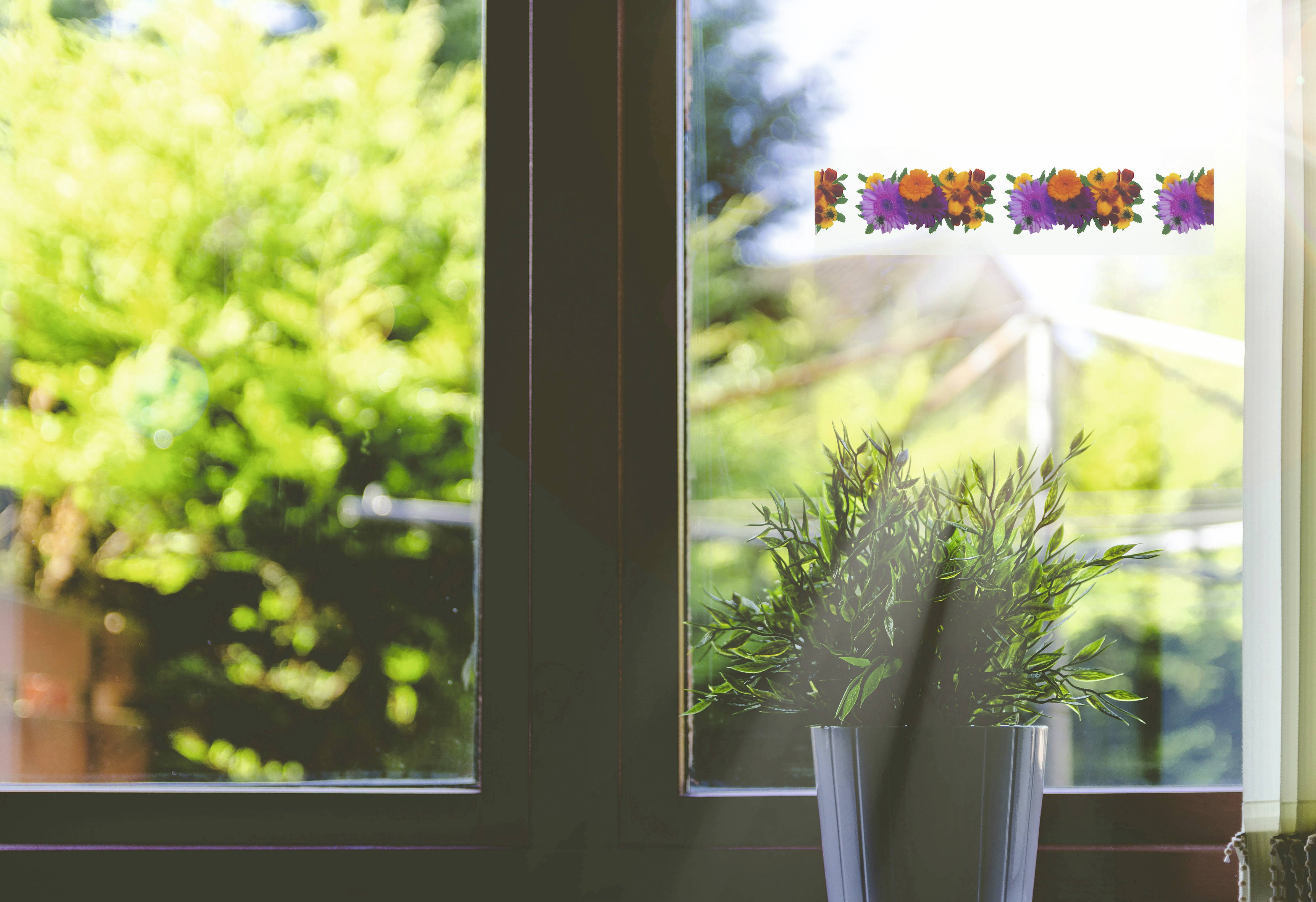 A room window with sunlight, potted plants, and colourful floral decoration along the top edge of the pane.