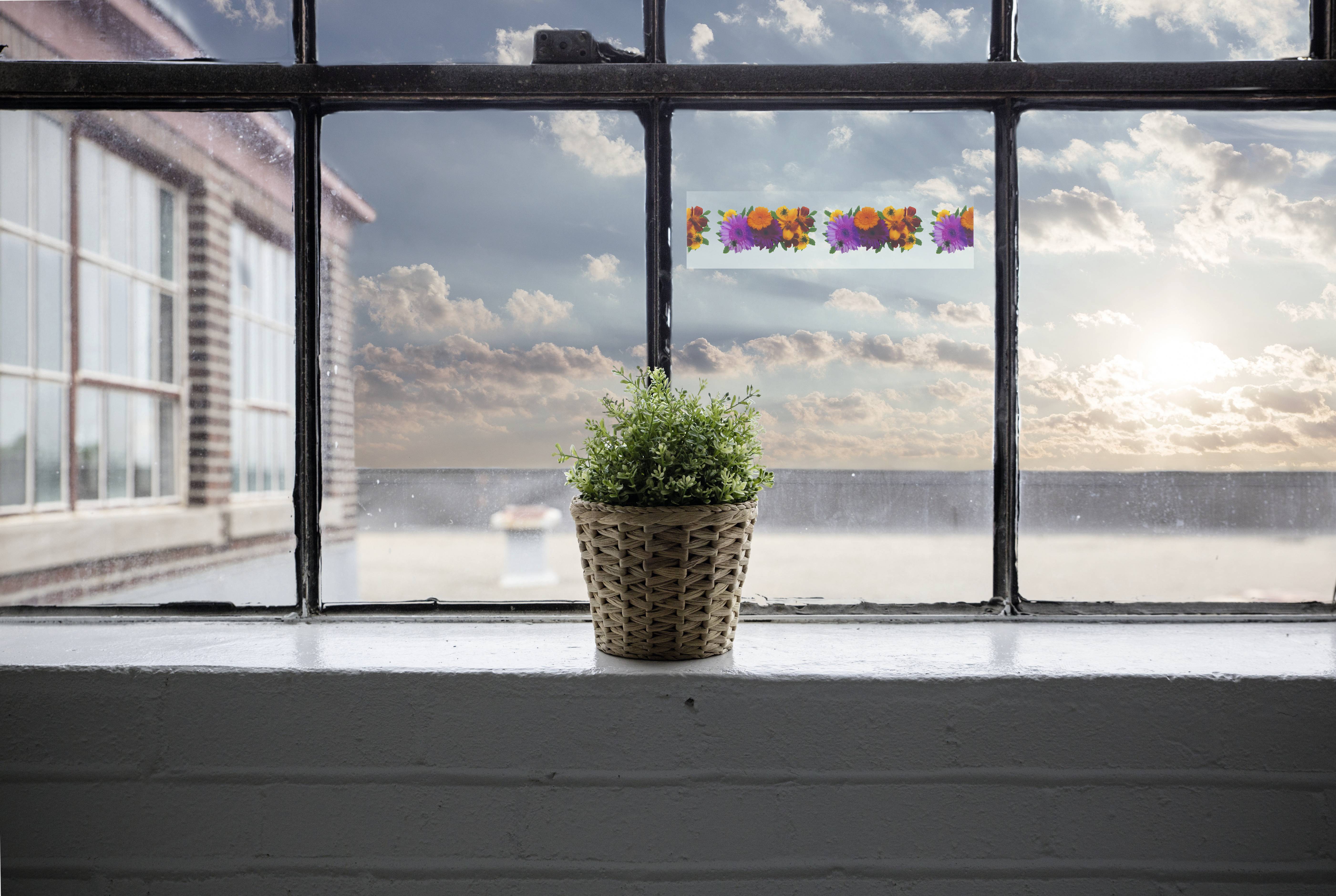 A small pot with a green plant sits on a windowsill. Behind it is a large window through which a sunny sky is visible.
