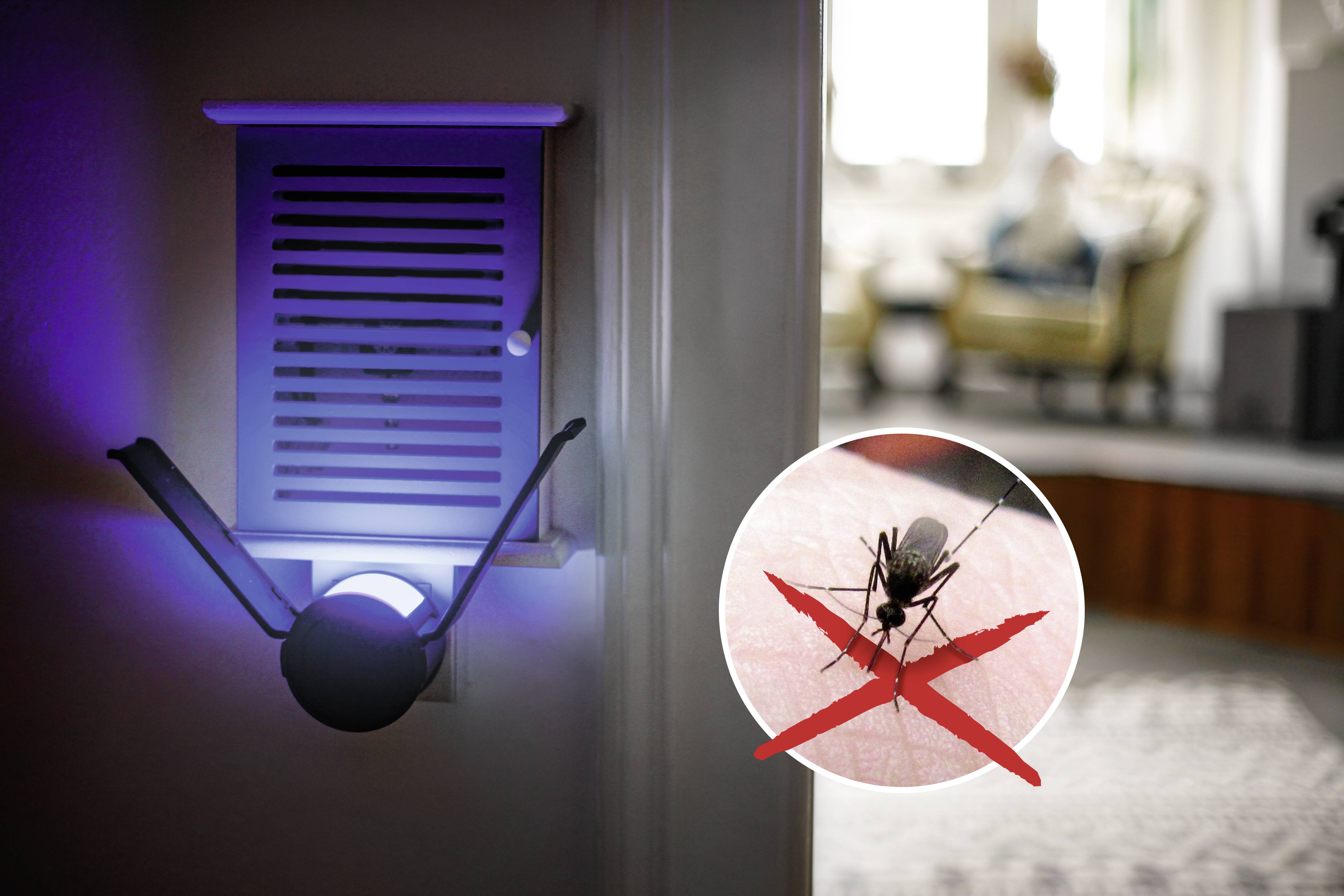 Gardigo 25146 UV light, Adhesive film UV adhesive trap (W x H x D) 65 x 65 x 68 mm Black 1 pc(s)-1