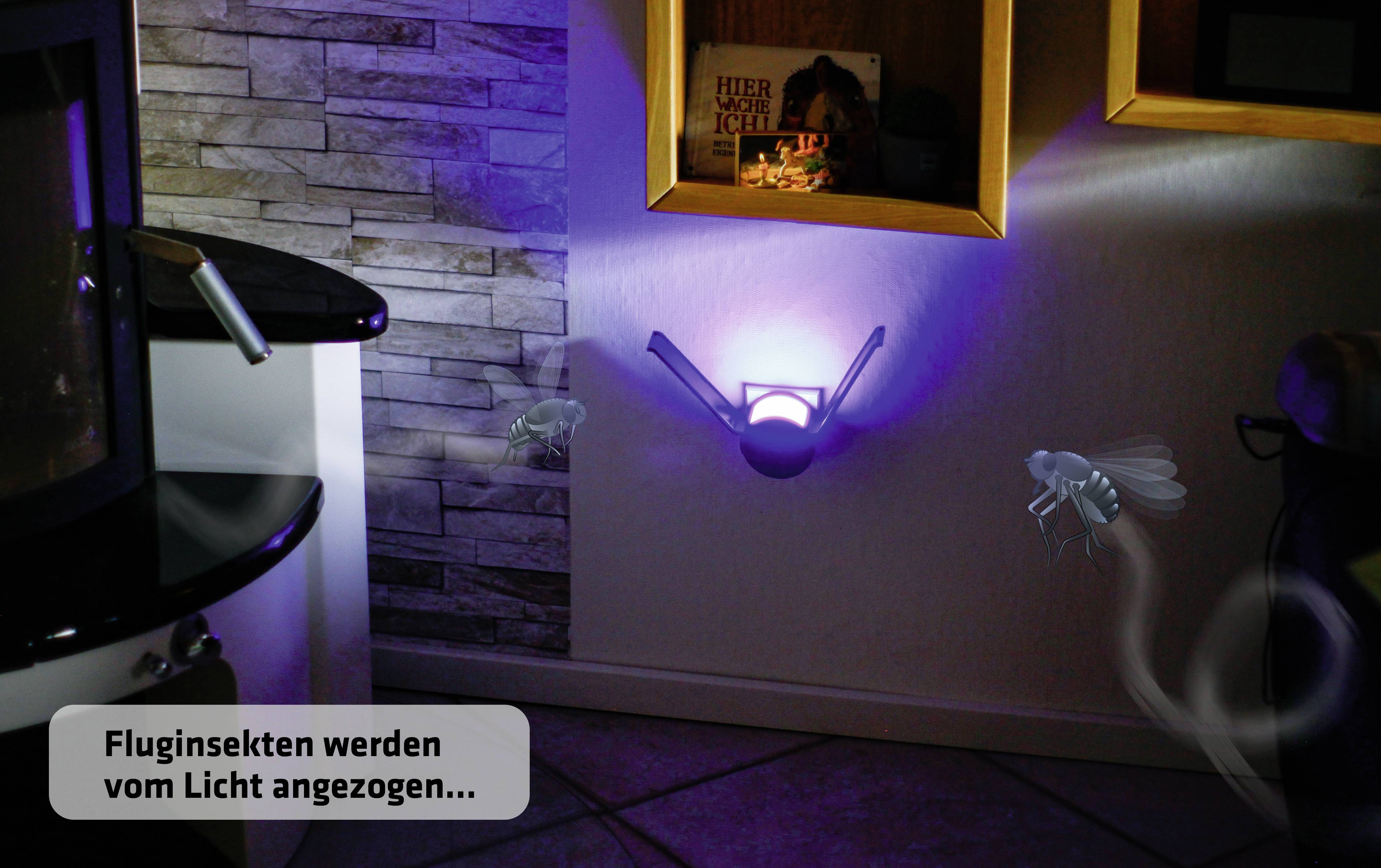 Gardigo 25146 UV light, Adhesive film UV adhesive trap (W x H x D) 65 x 65 x 68 mm Black 1 pc(s)-5