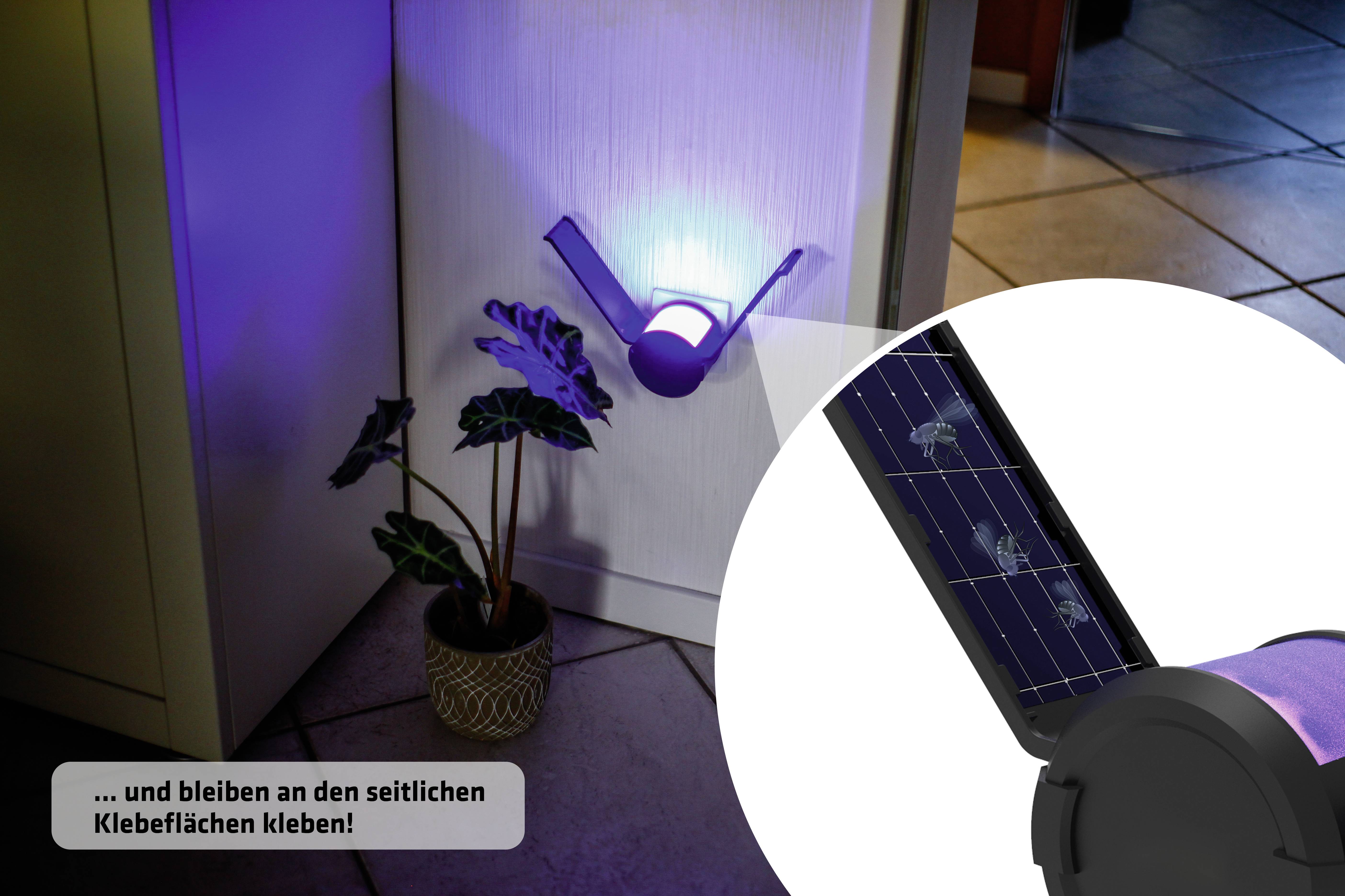 Gardigo 25146 UV light, Adhesive film UV adhesive trap (W x H x D) 65 x 65 x 68 mm Black 1 pc(s)-6