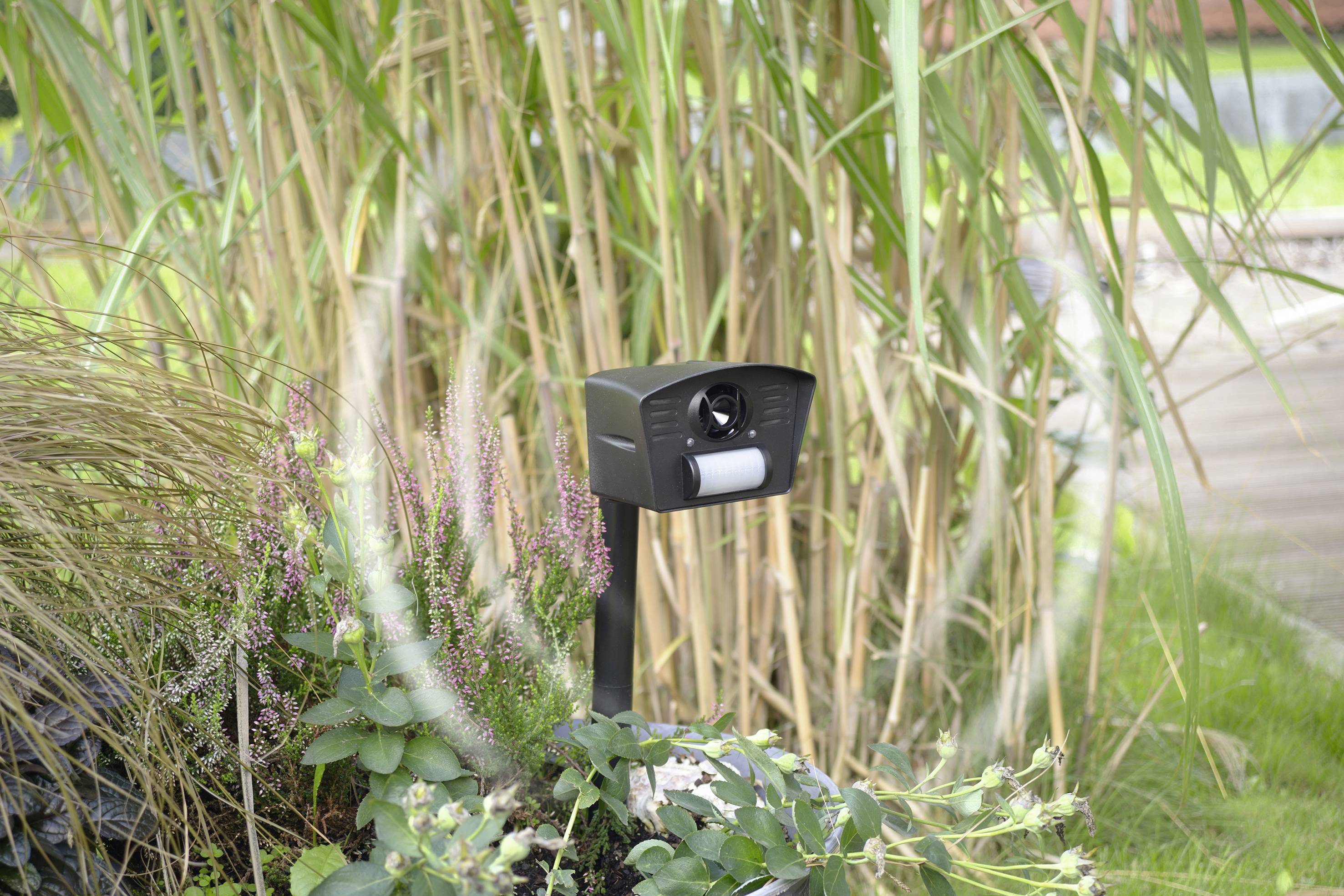 A wildlife camera is positioned in the tall grass and is aimed at a garden bed. It is used to monitor animals outdoors.