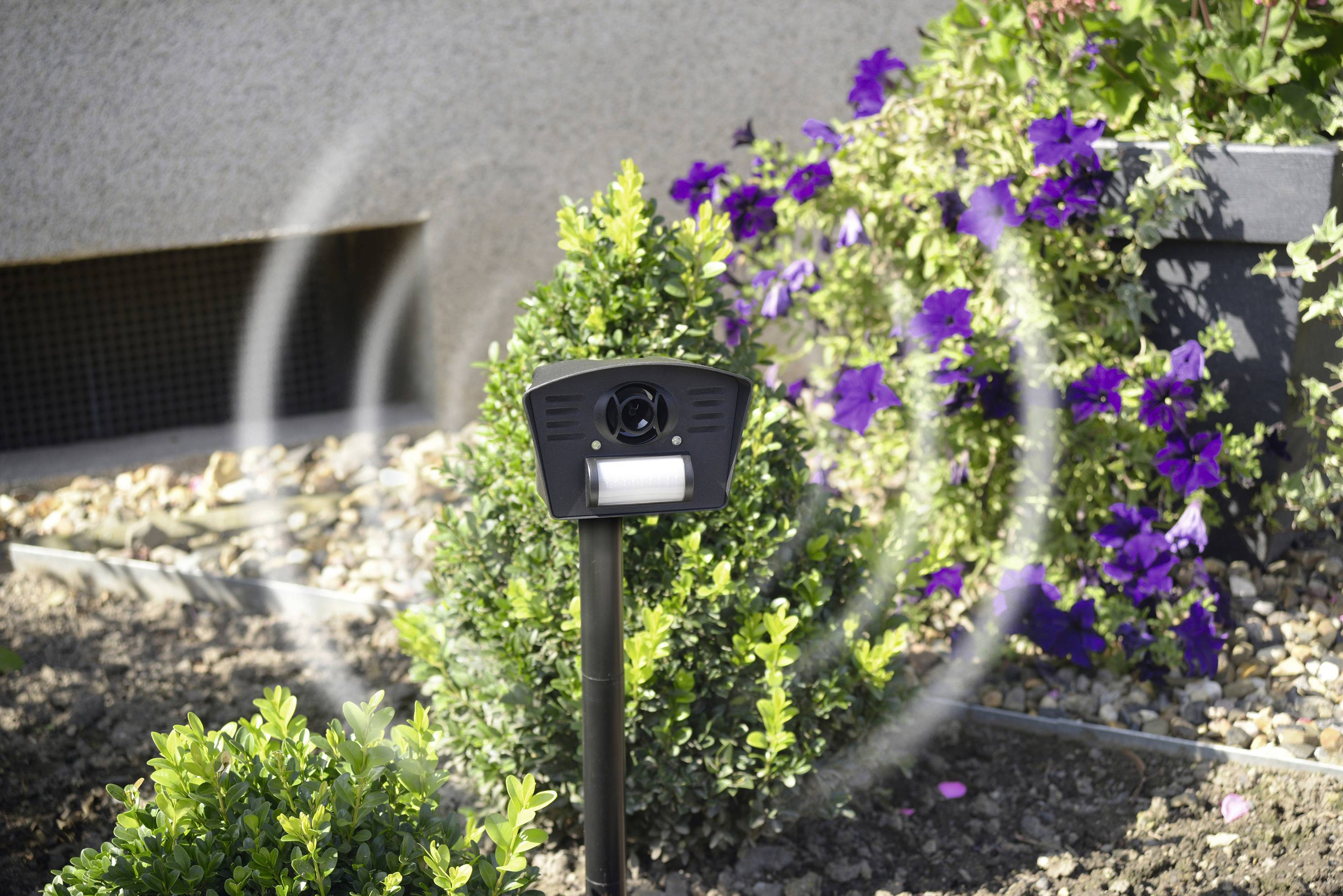 A solar garden light with a motion sensor stands in a flowerbed. Green plants and purple flowers can be seen in the background.