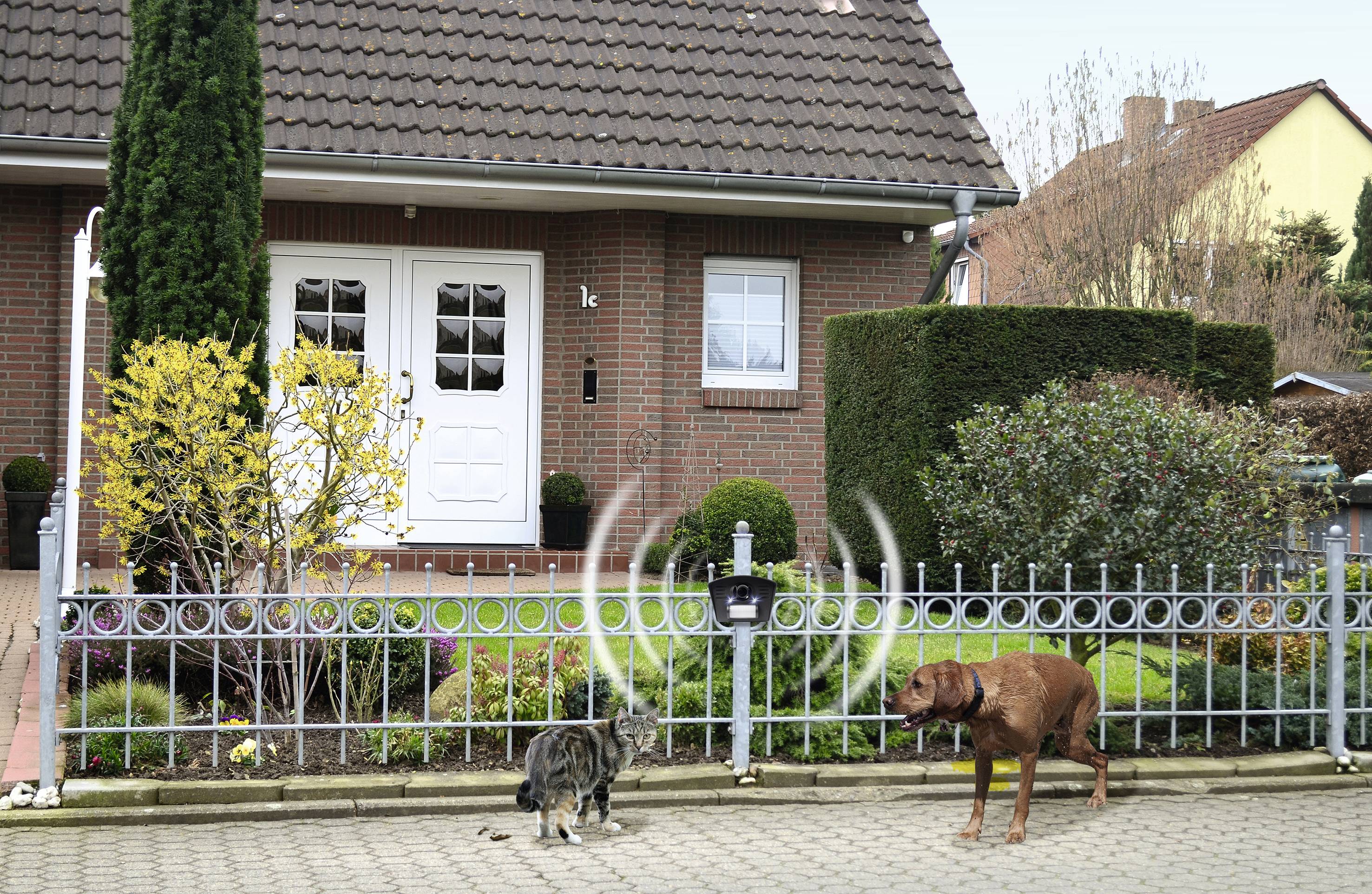 A cat and a dog are standing facing each other on a cobbled path in front of a brick house. A fence separates them from the garden.