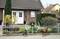 A cat and a dog are standing facing each other on a cobbled path in front of a brick house. A fence separates them from the garden.