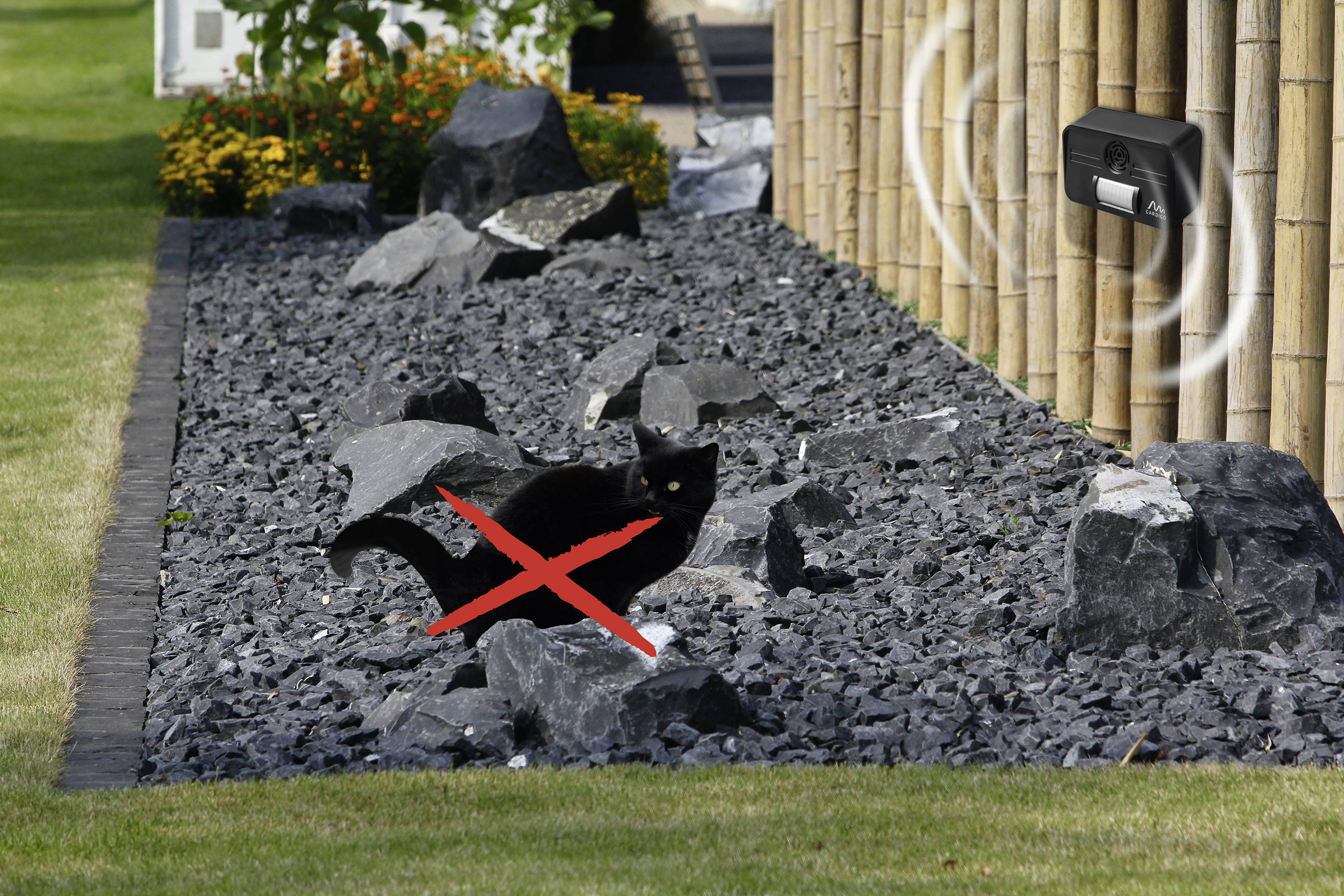 A black cat on a stone garden path, crossed out by a red X. A motion sensor is visible in the background.