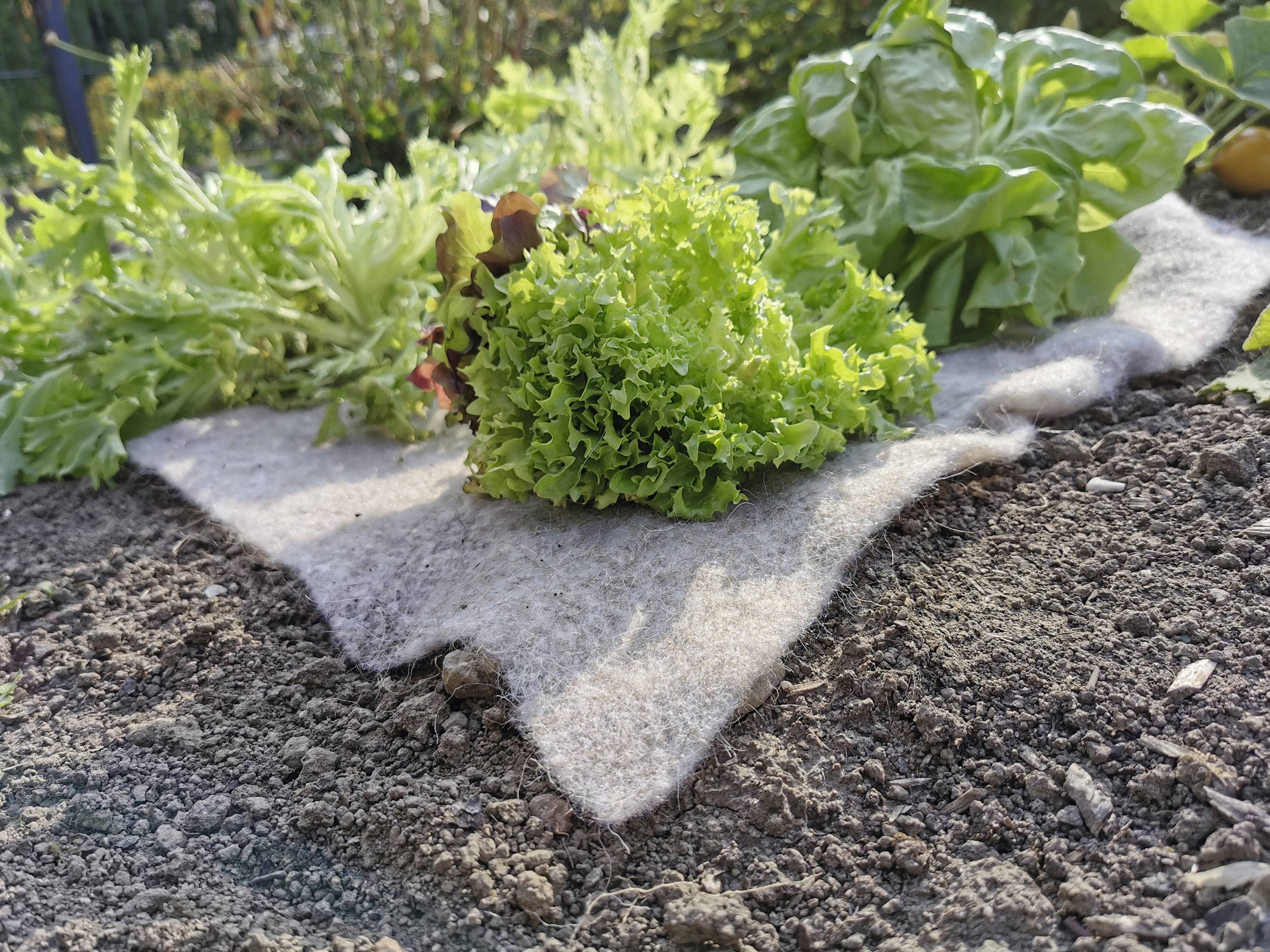 Gardigo Stopp-Vlies Slug repellent Working principle Deterrent 1 pc(s)-7