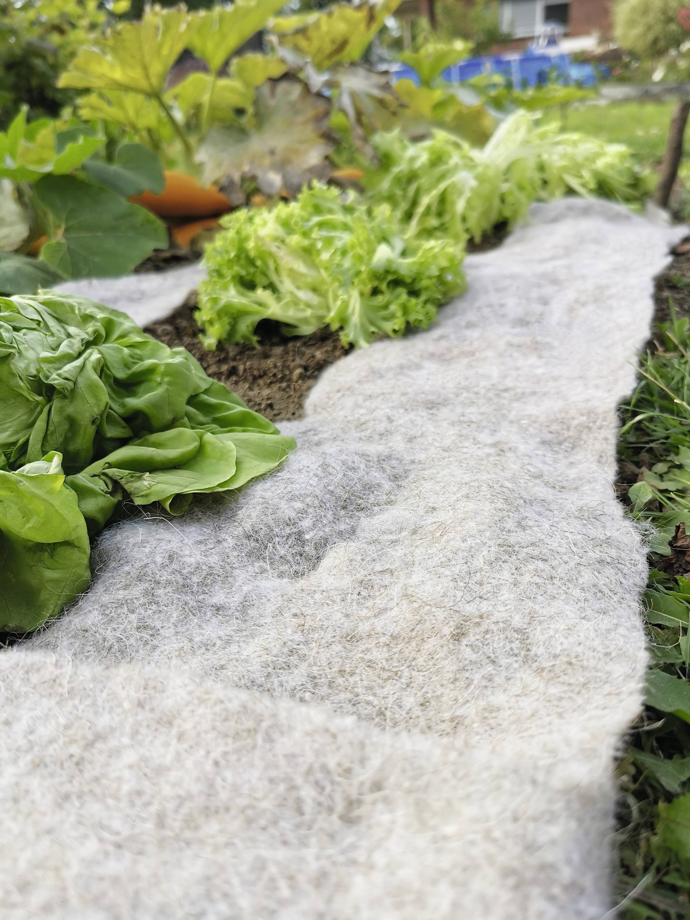 Gardigo Stopp-Vlies Slug repellent Working principle Deterrent 1 pc(s)-8