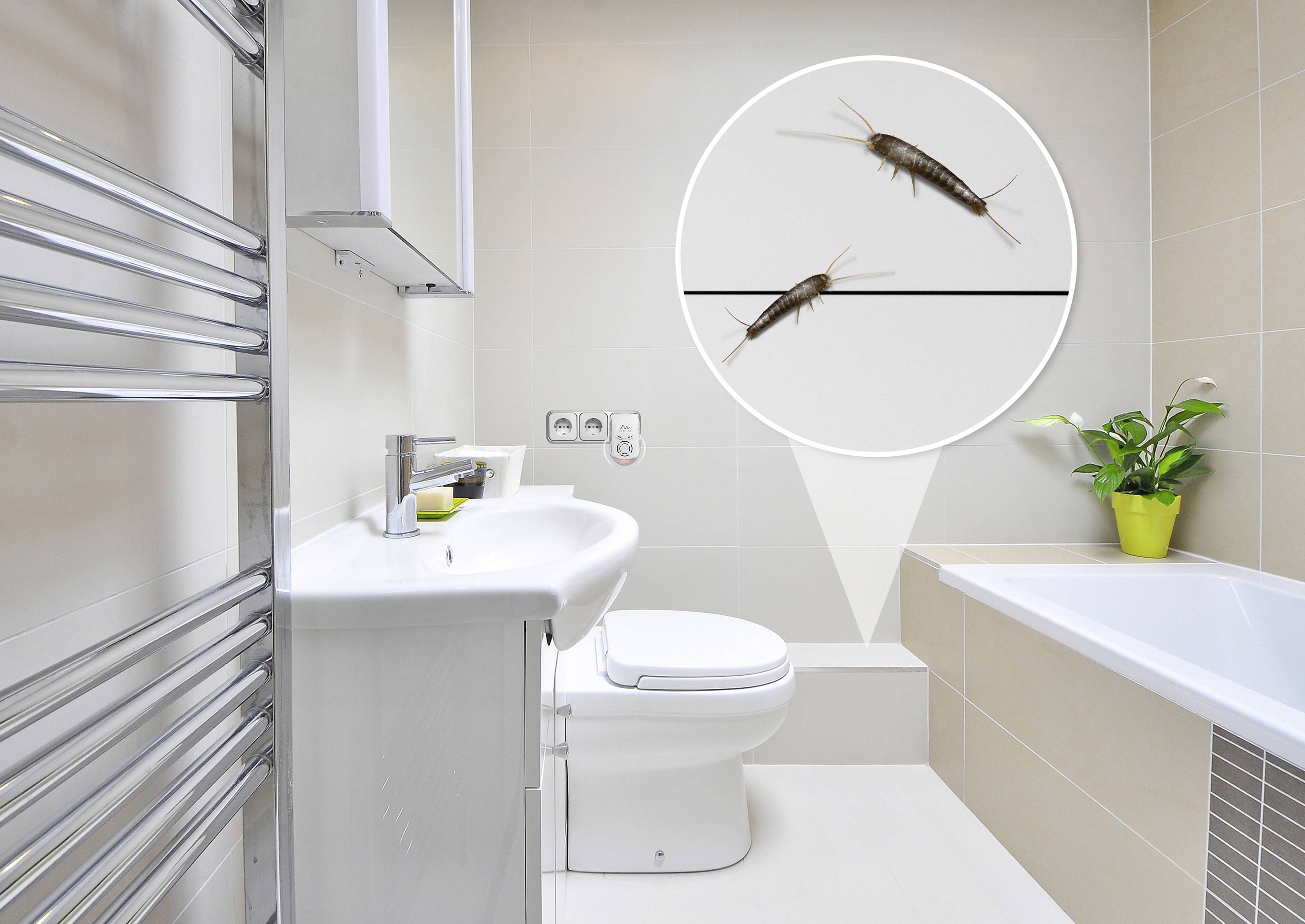 Luxurious bathroom with beige tile design and white sanitary fixtures. Enlarged section reveals two silverfish on the wall.