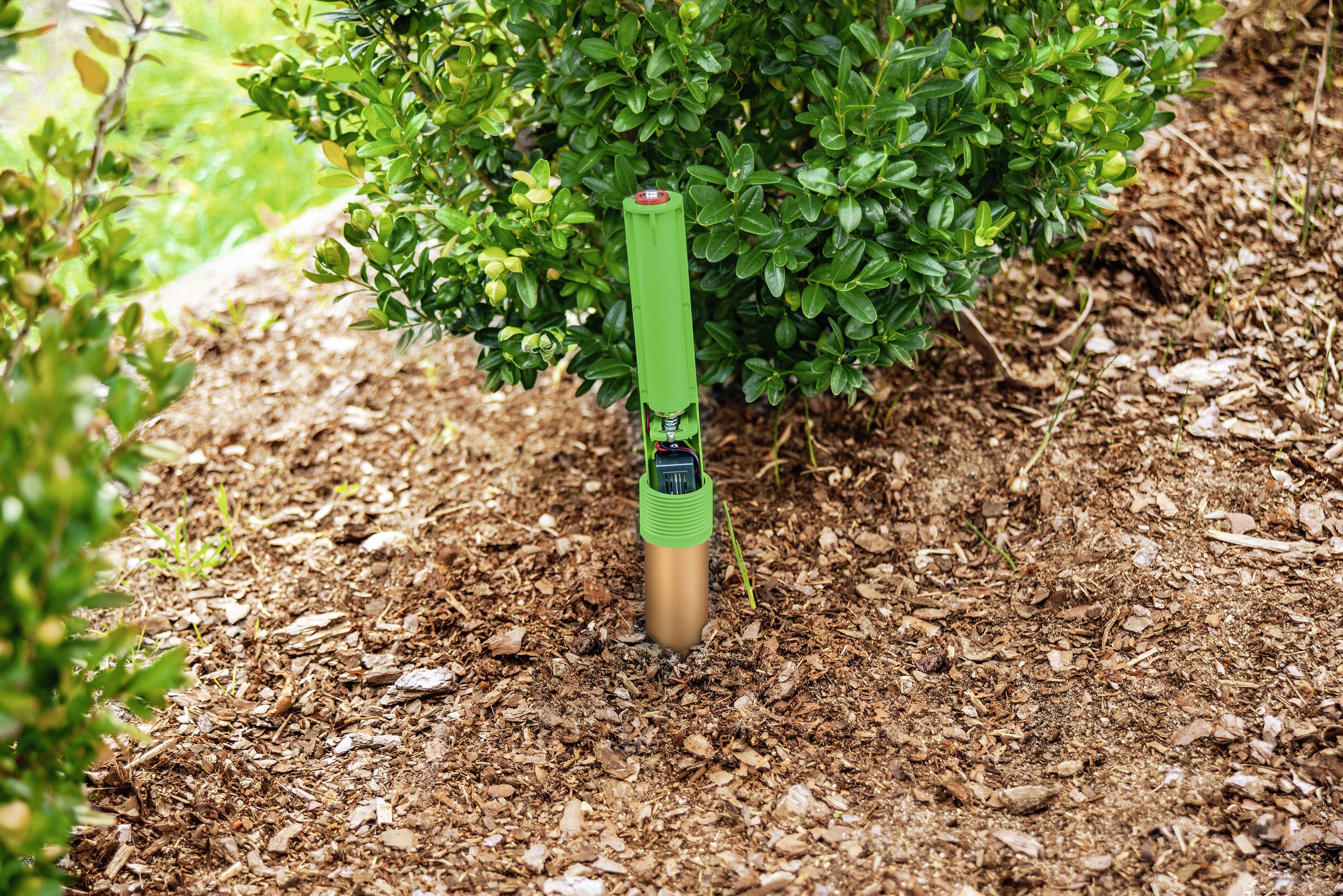 A green soil sensor is inserted into the earth in front of a bush. It measures soil moisture for plant monitoring in the garden.