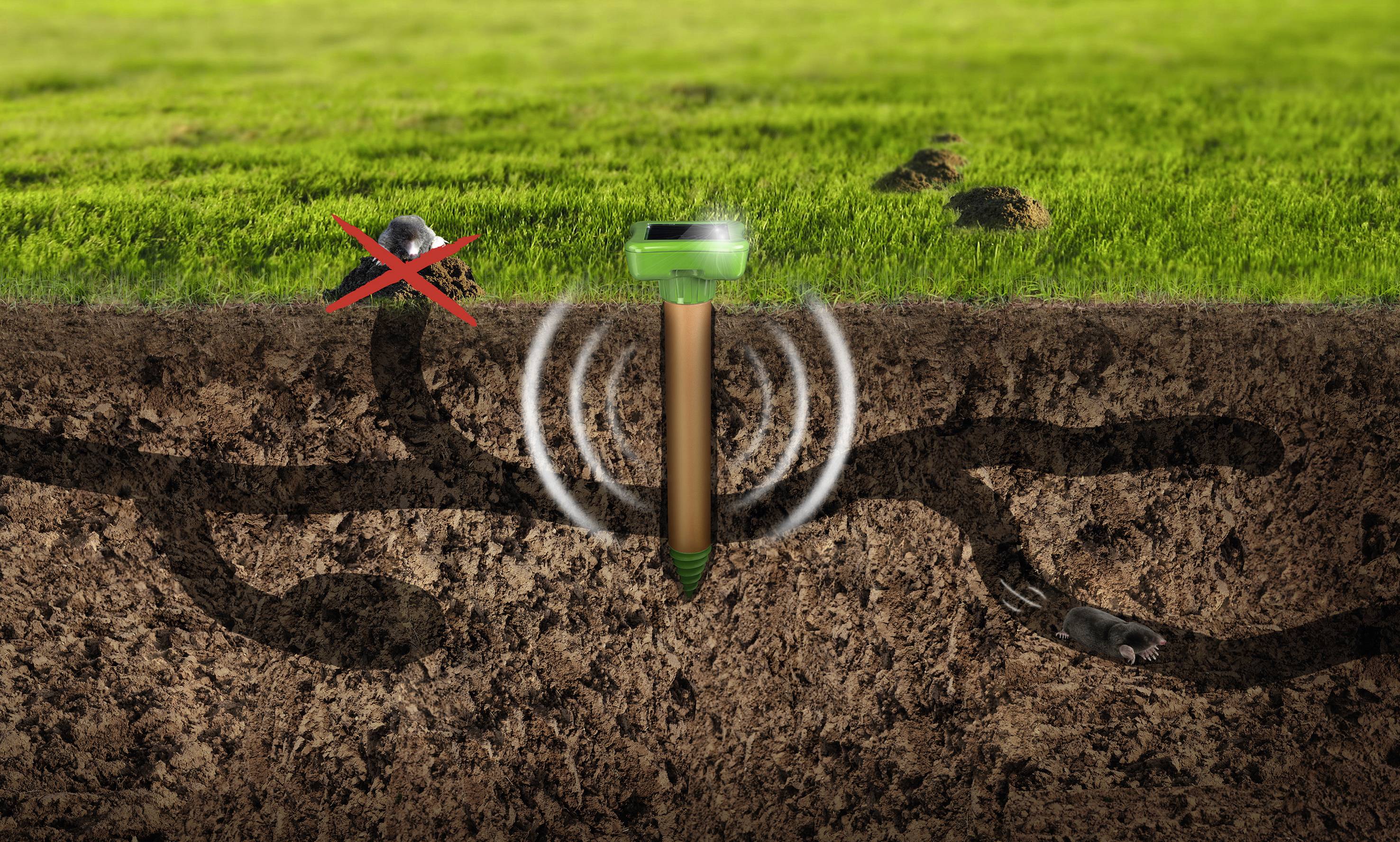 A mole is deterred by an electronic device in the ground. The device emits sound waves to keep the mole away.