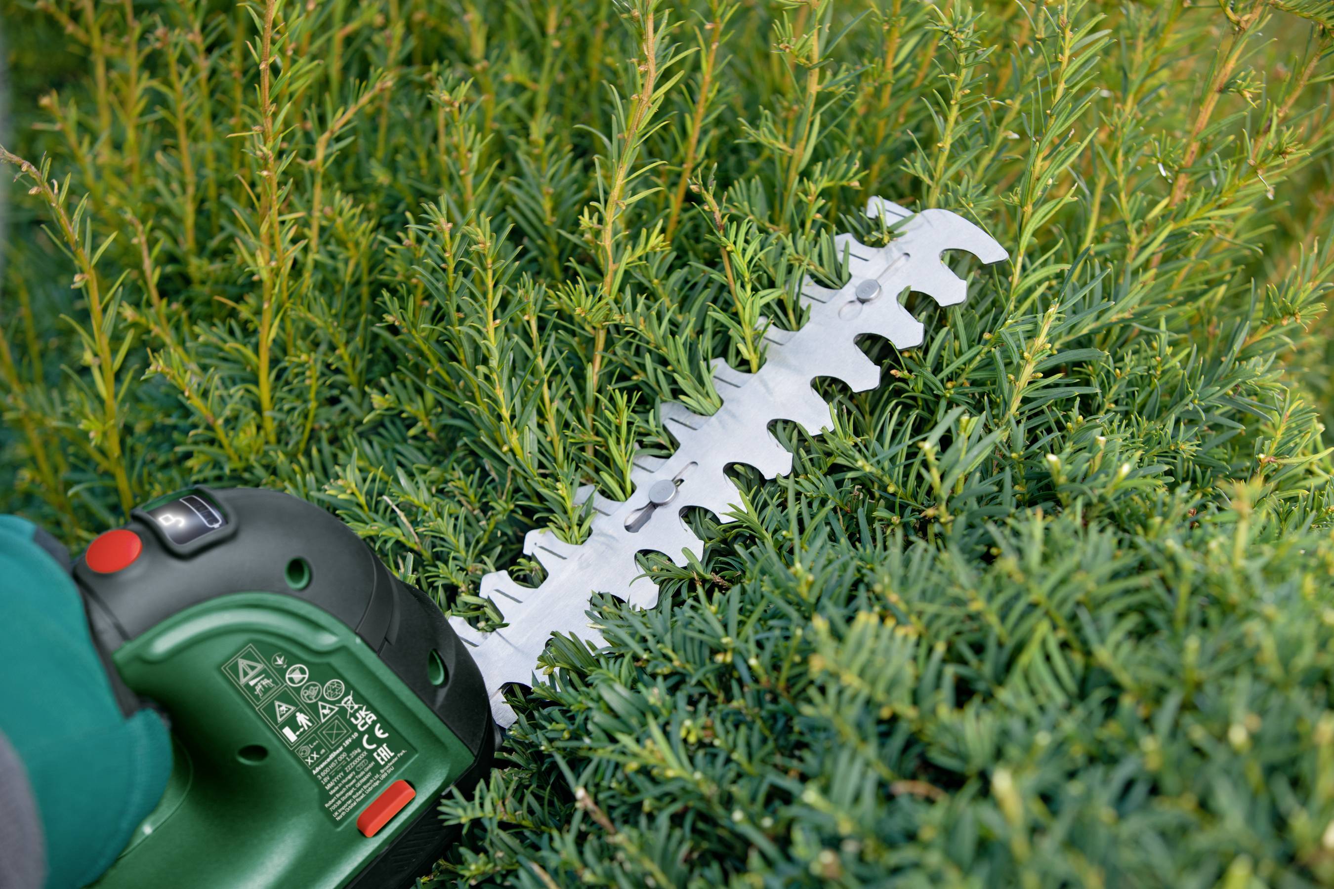 A person is trimming a hedge with an electric hedge trimmer. The green hedge is dense and the blade is silver.