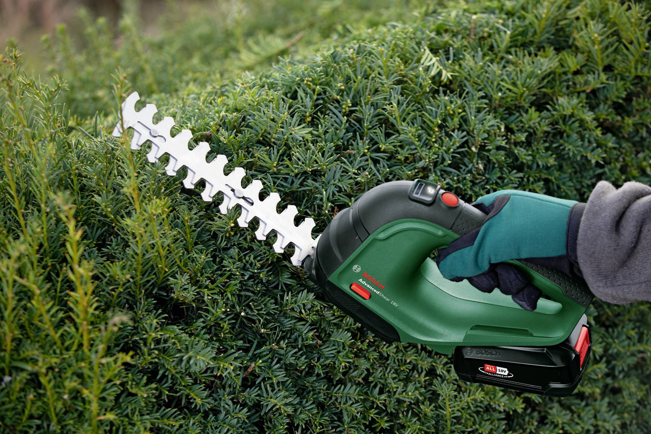 Buy Bosch Home and Garden AdvancedShear 18 10 Solo Rechargeable battery Lawn shears Bush trimmer w o battery w o charger Conrad Electronic