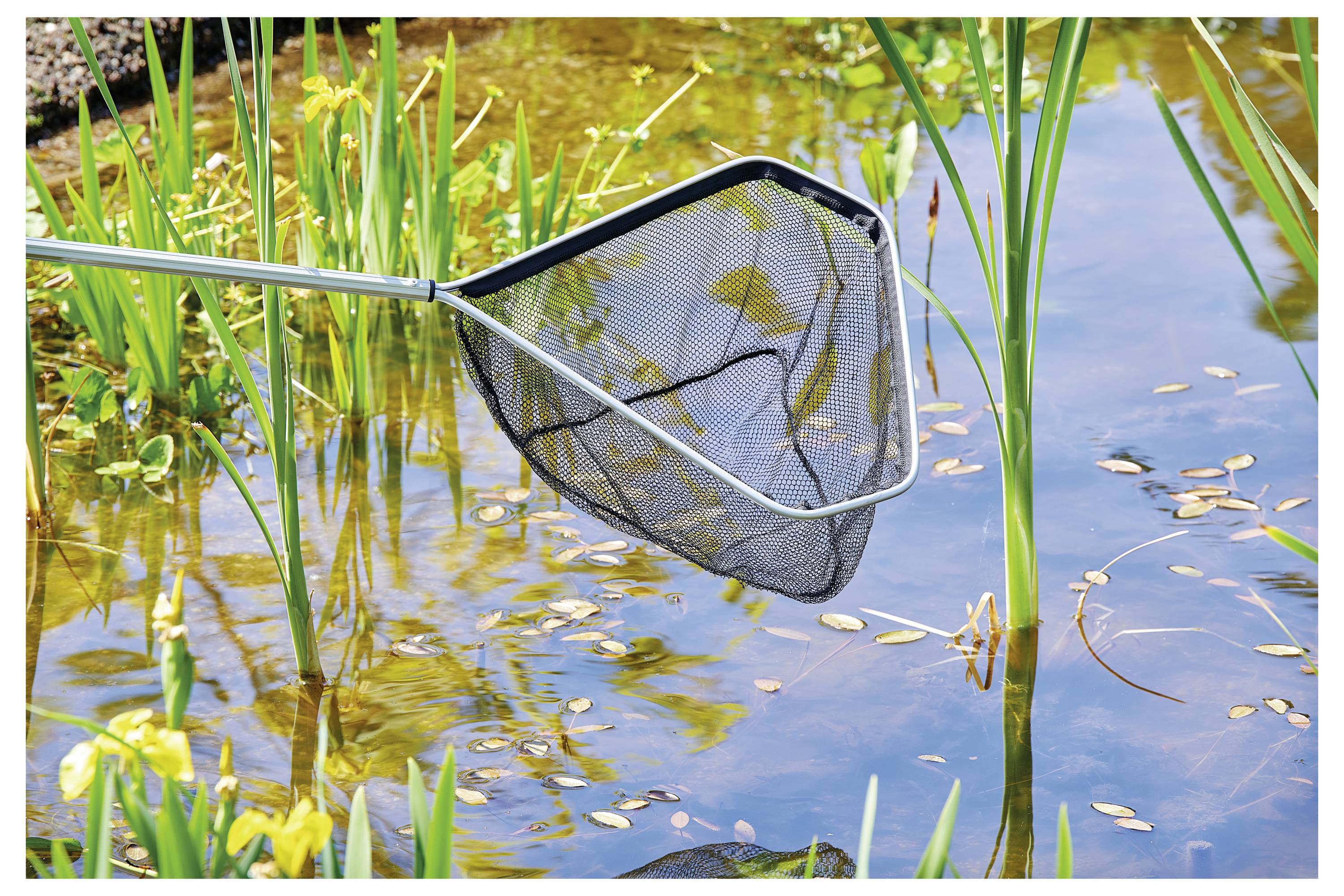 A net skimming the surface of a pond among tall grasses, collecting leaves from the water.