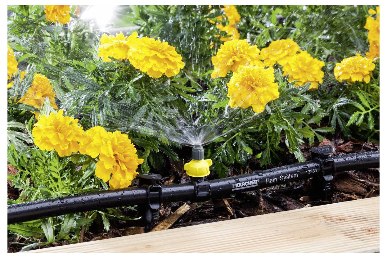 A garden drip irrigation system waters marigold flowers. A black hose with sprinklers delivers water efficiently to the plants.