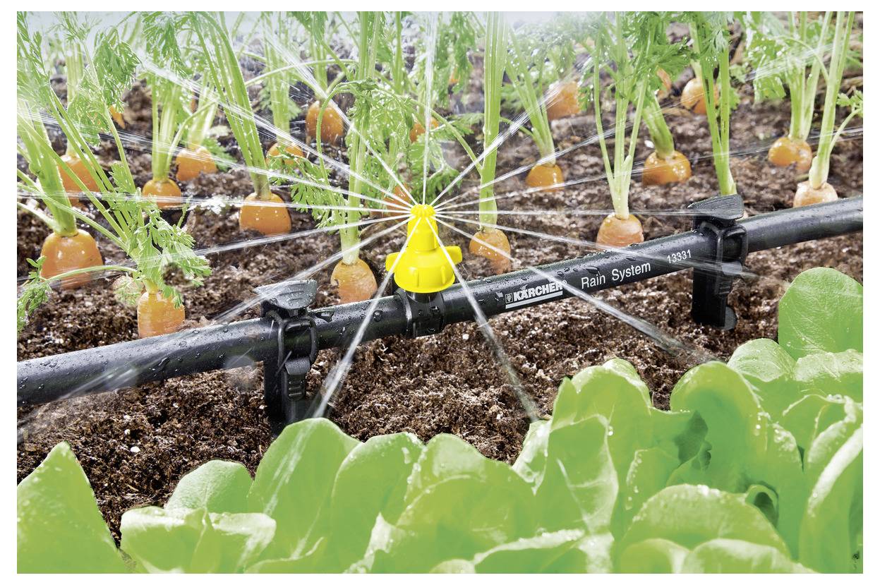 A garden irrigation system watering rows of carrots and lettuce, with a yellow sprinkler head dispersing water evenly across plants.
