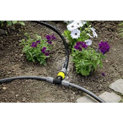 A hosepipe runs through a garden bed with flowering white and purple blooms. The hose supplies water to the plants.