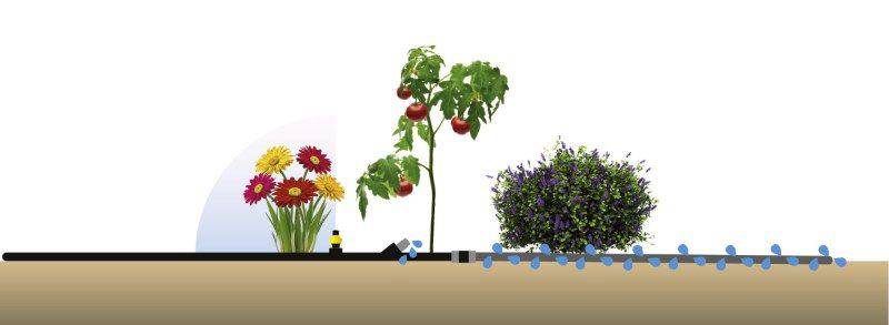 A graphic depicts an irrigation system with a black pipe from which water flows to flowers, a tomato bush, and a shrub.