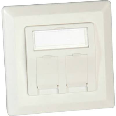 A white Ethernet socket enclosure with two ports for network connections. Ideal for installation in wall panels.