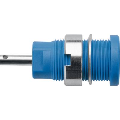 Safety socket Blue Schützinger DI SEB 6525 Ni / BL 1 pc(s)