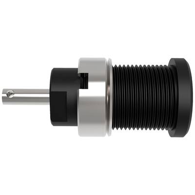 Schützinger DI SEB 6525 Ni / SW Safety socket Black 1 pc(s)