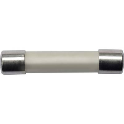 A cylindrical glass fuse with metal end caps, used to prevent overcurrent in electrical circuits.