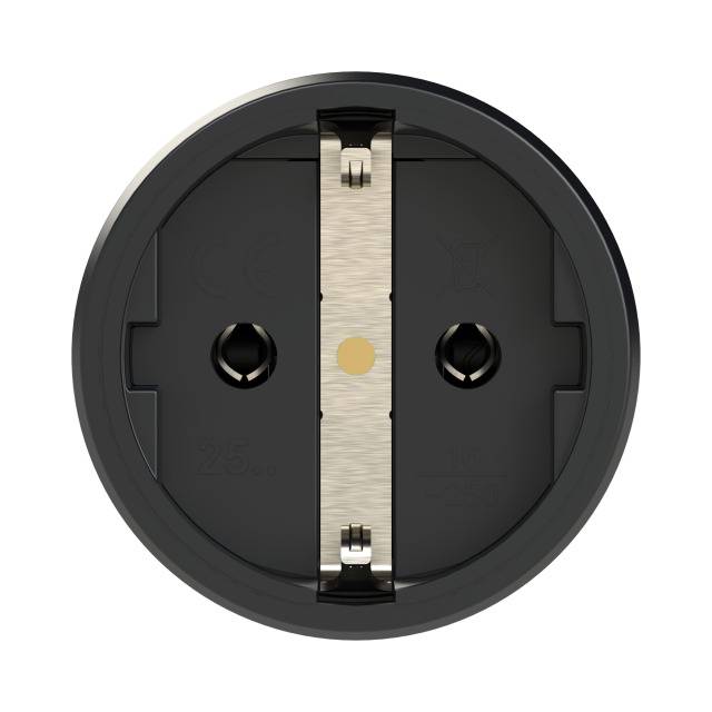 A black round European socket with two holes for plugs, suitable for 16 amperes and a voltage of 250 volts.