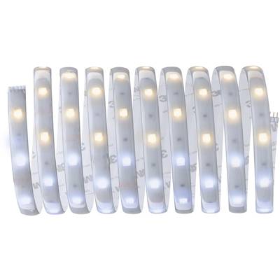 'Ten LED strips with alternating warm white and cool white lights.'