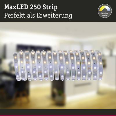 A LED strip with white lights is visible. Text: 'MaxLED 250 Strip - Perfect as an Extension'. Background shows a blurred room.