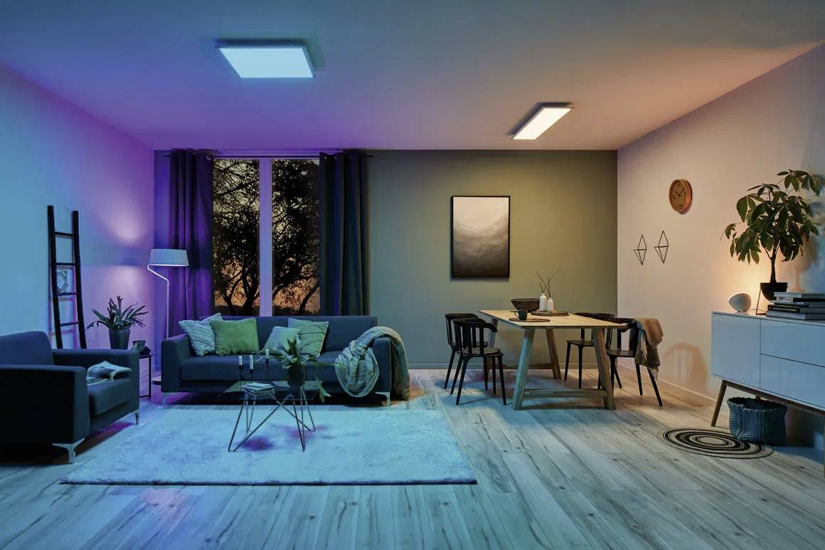 Modern living room with stylish interior: sofa, rug, plants, dining table with chairs; window with tree view at sunset.