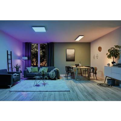Modern living room with stylish interior: sofa, rug, plants, dining table with chairs; window with tree view at sunset.