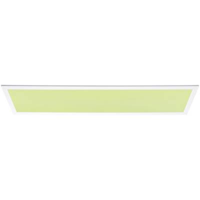 Rectangular white ceiling light with a light green interior.