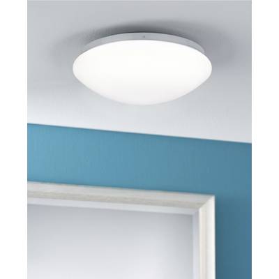 Round ceiling light with a white shade, mounted on a blue-painted ceiling, positioned above a door frame.