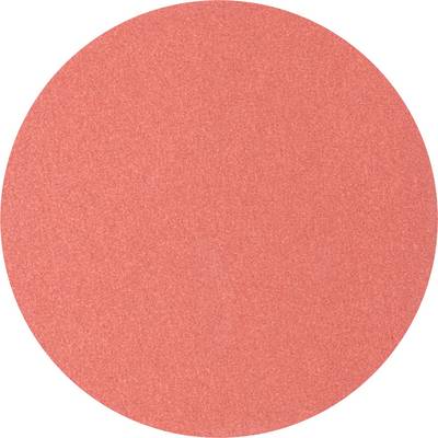 A simple, red circle on a white background.
