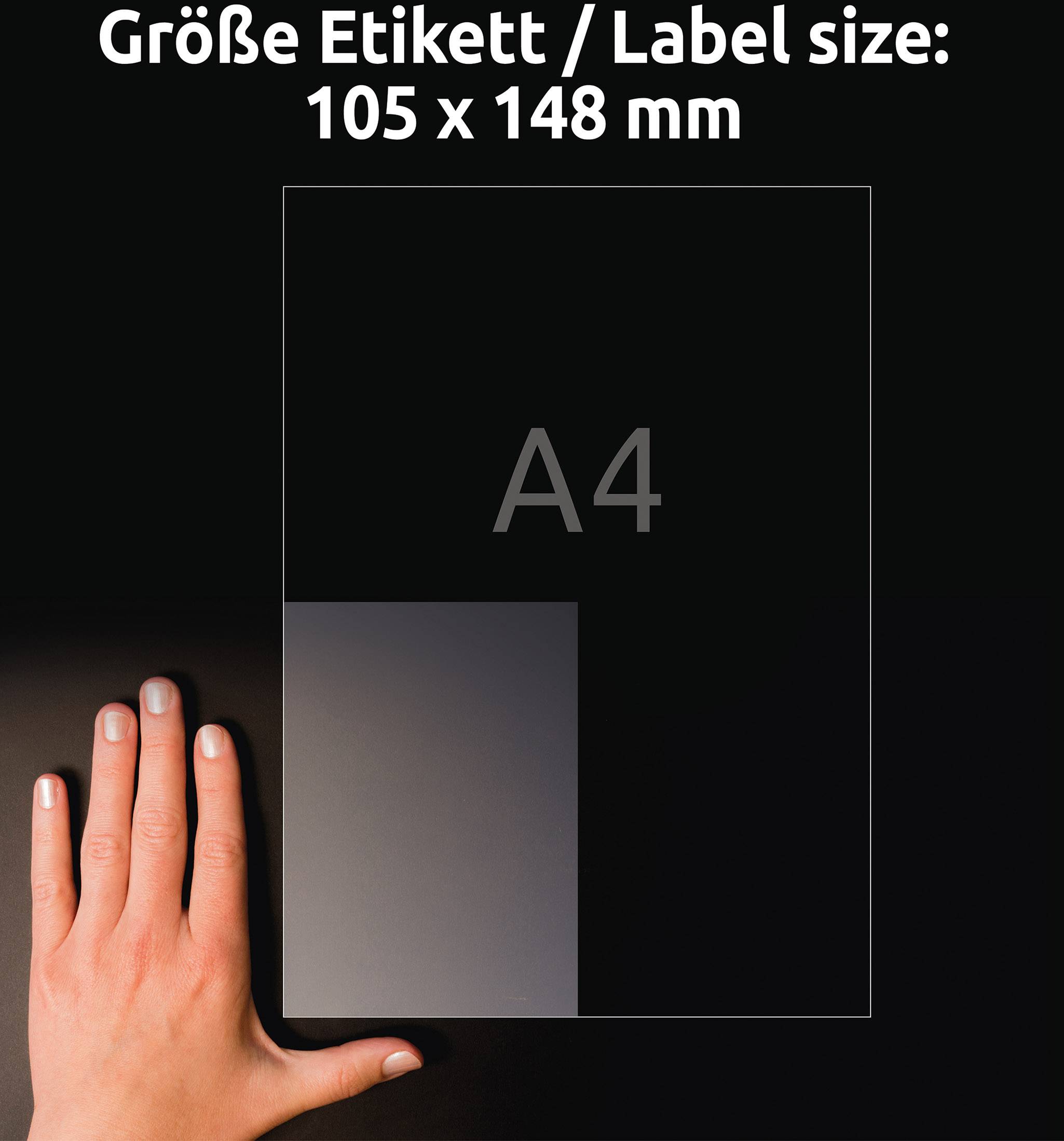 Avery-Zweckform L8013-10 Anti-bacterial labels 105 x 148 mm Transparent 40 pc(s)-6