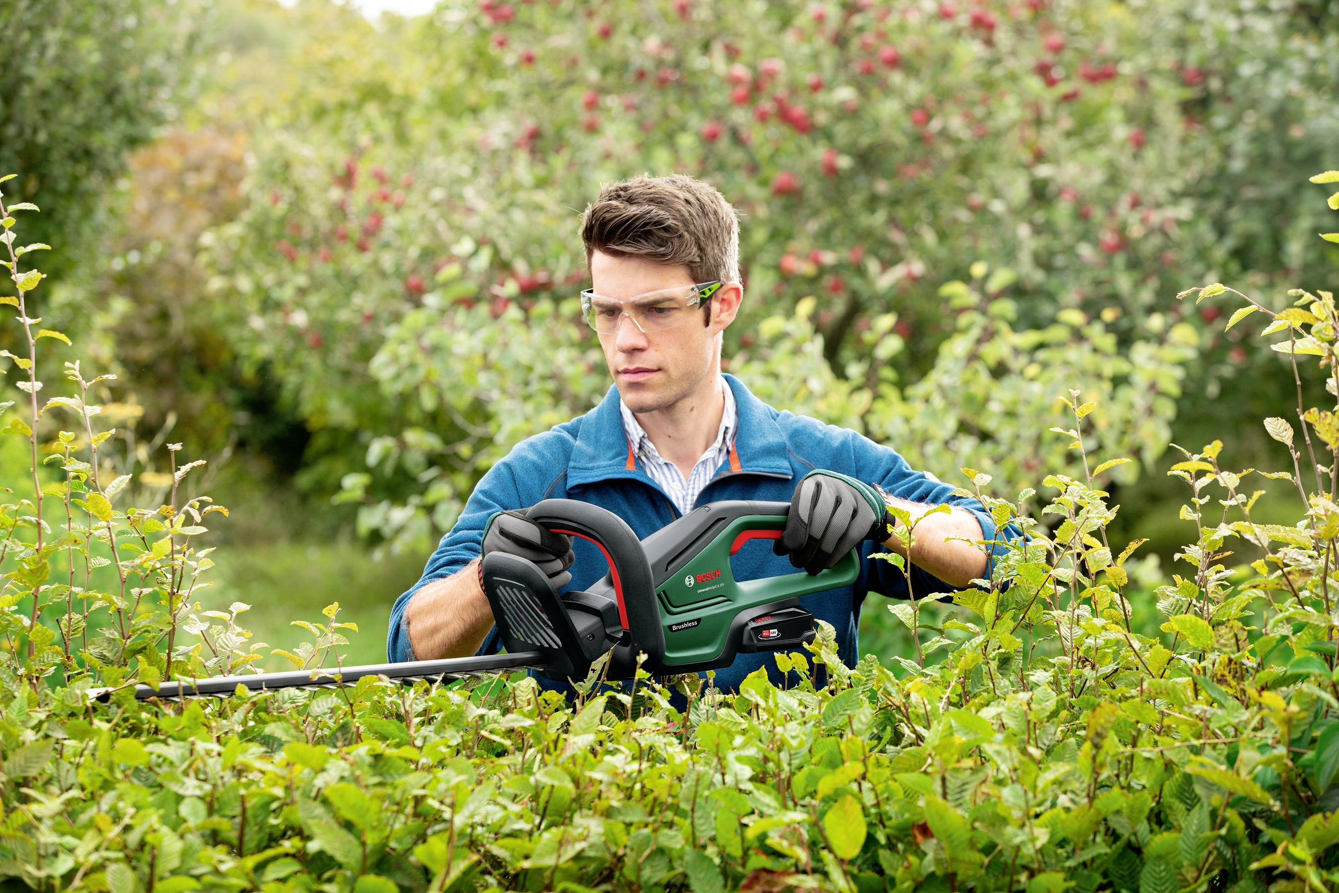 A man wearing safety glasses and gloves is trimming a hedge in a garden with an electric hedge trimmer. Fruit trees are visible in the background.