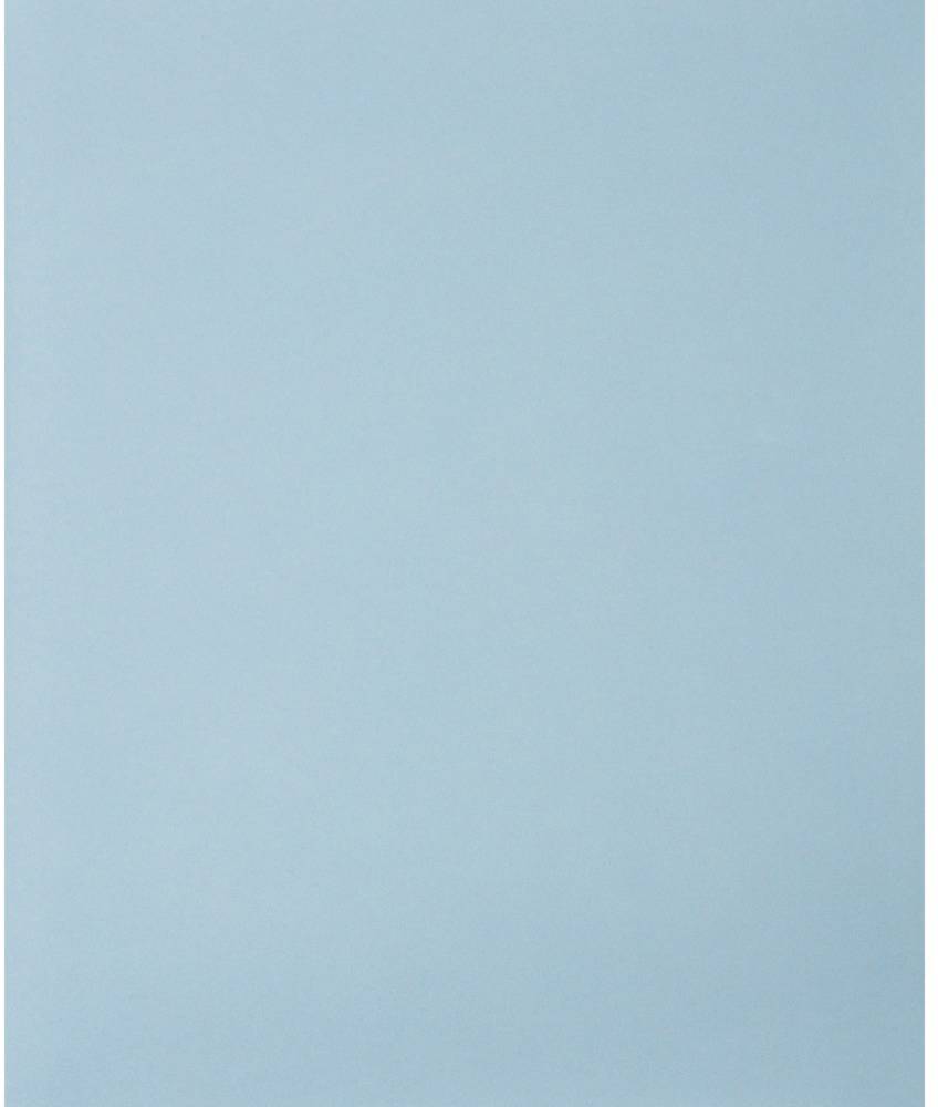 PFERD TOOLS BP W 230x280 SiC 1000 45098039 Sandpaper Grit size 1000 (L x W) 280 mm x 230 mm 10 pc(s)-0