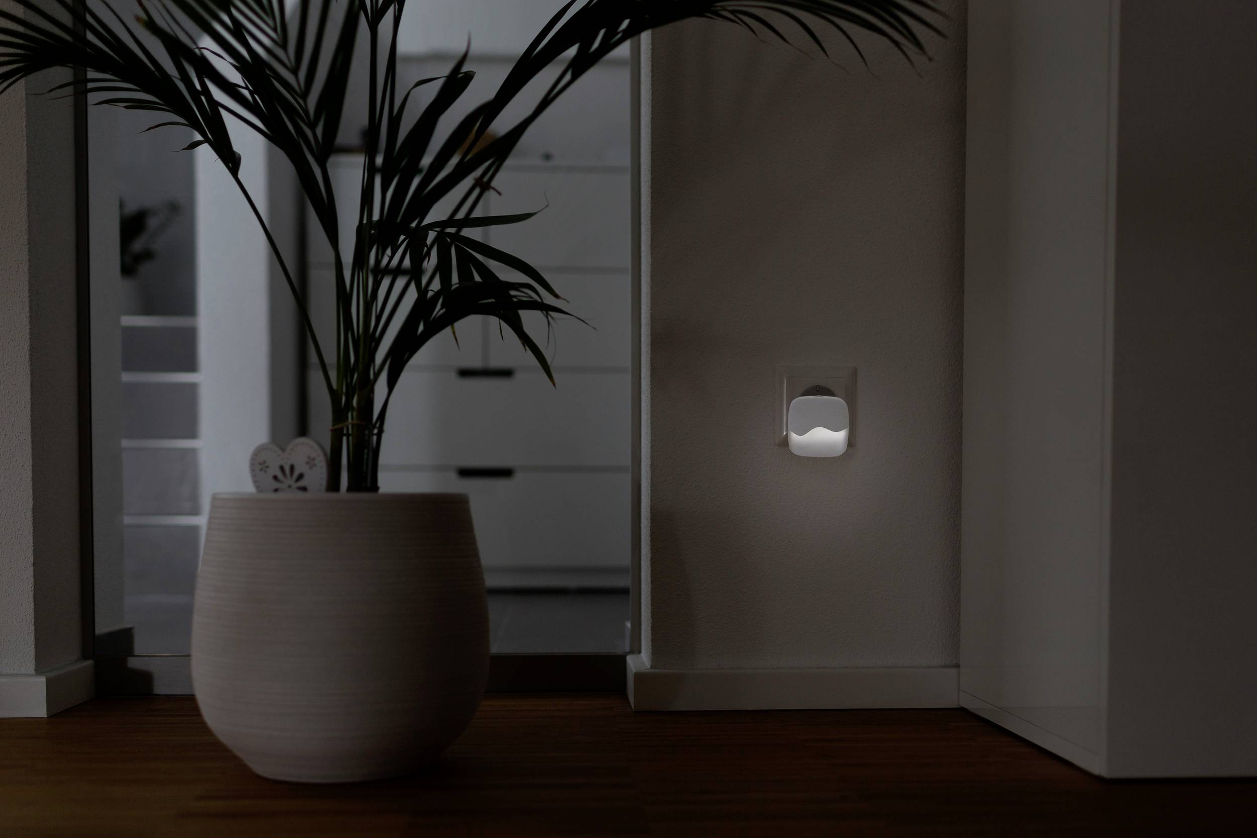 A potted plant stands in a dark room next to a small night light, which provides a soft illumination.
