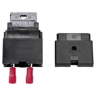 EFOY Power 158906012 Fuses Suitable for Efoy fuel cell