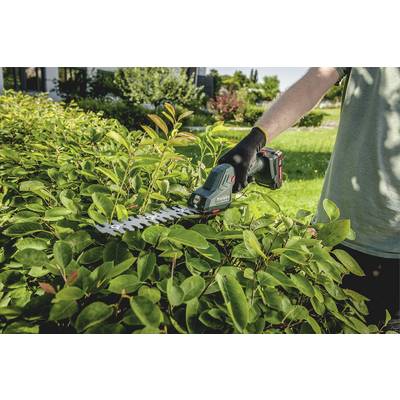 A person in a garden is trimming a hedge with an electric hedge trimmer. It is a sunny day.