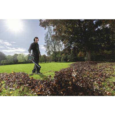 A person is blowing leaves with a leaf blower on a lawn, surrounded by autumnal trees and piles of leaves, on a sunny day.