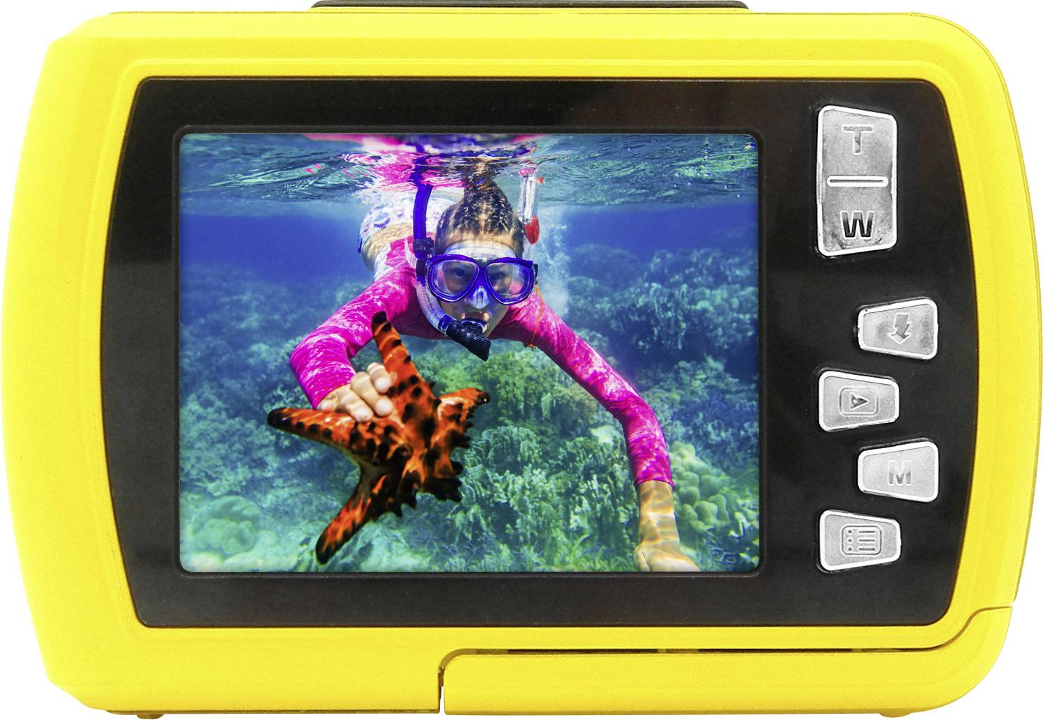 A person is snorkelling in the sea and holding a starfish in their hand. The scene is displayed on a yellow waterproof camera display.