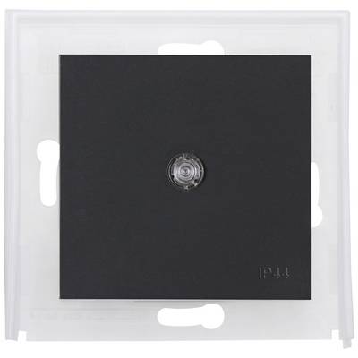 Black square wall switch with a central round button, mounted on a white cover, marked 'IP44'.